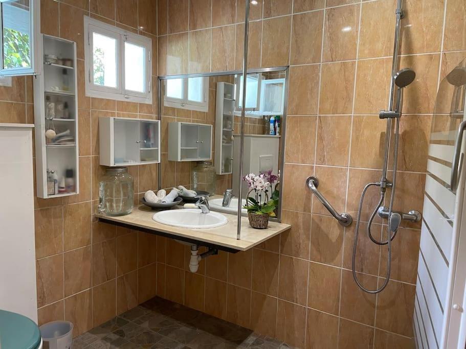 Le Strelitzia 2 Apartment Cilaos Luaran gambar